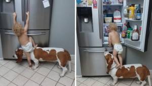 Forældrene lavede en optagelse af, hvordan deres søn sniger sig ud til køleskabe